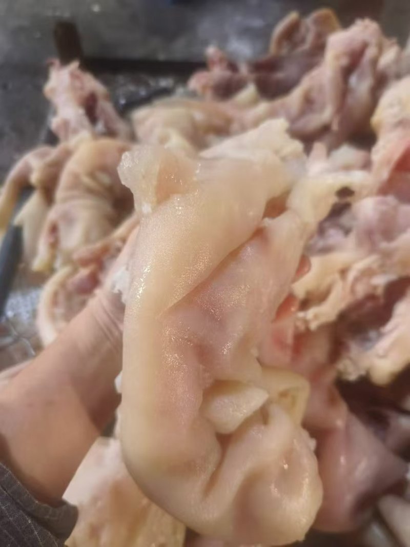 去骨熟牛蹄筋