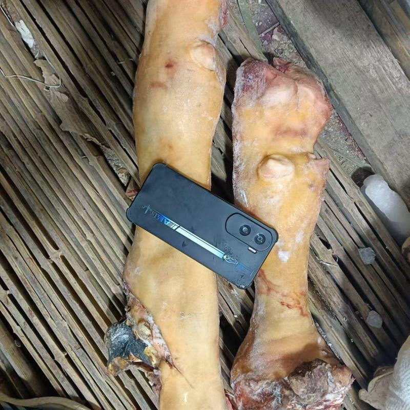 牛蹄，牛脚，纯火烧毛牛蹄