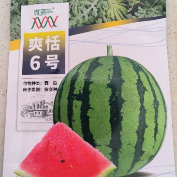 微盟爽恬6号