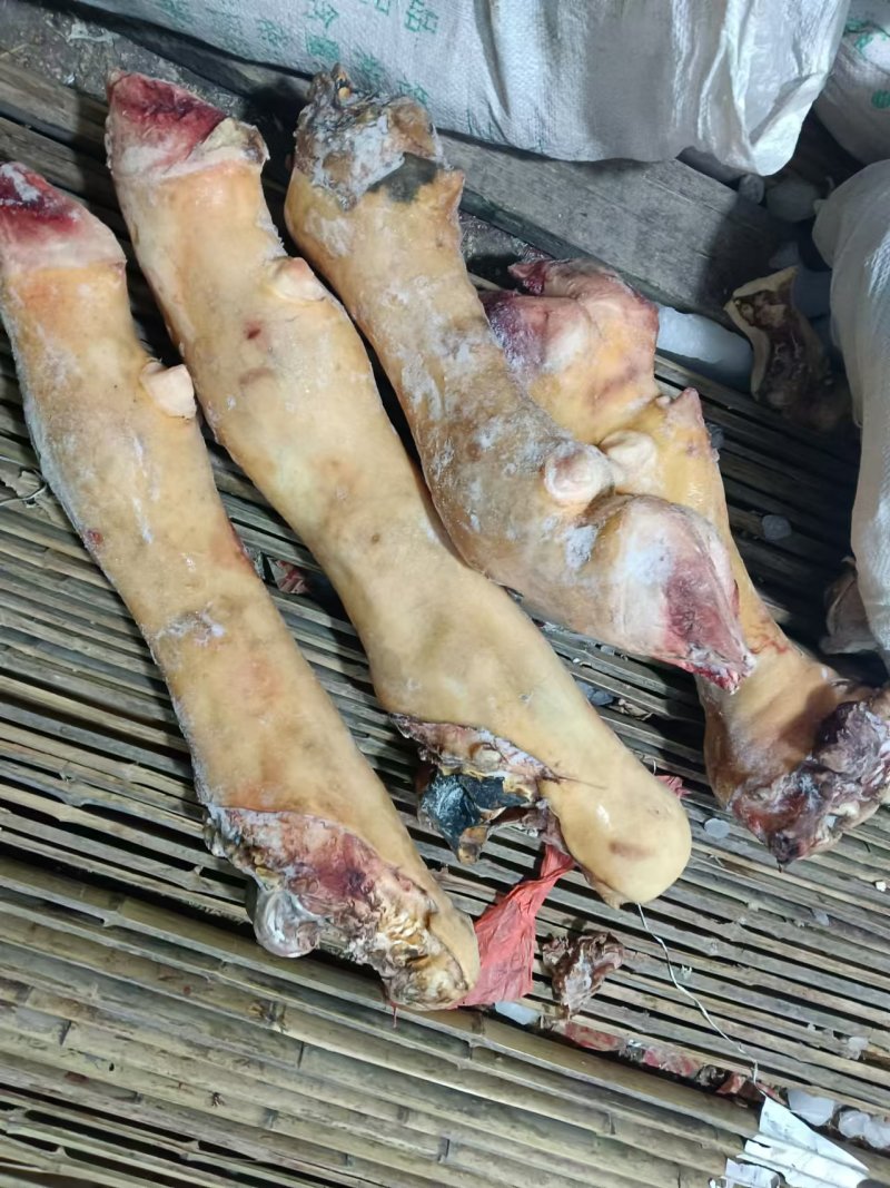 牛蹄，牛脚，纯火烧毛牛蹄