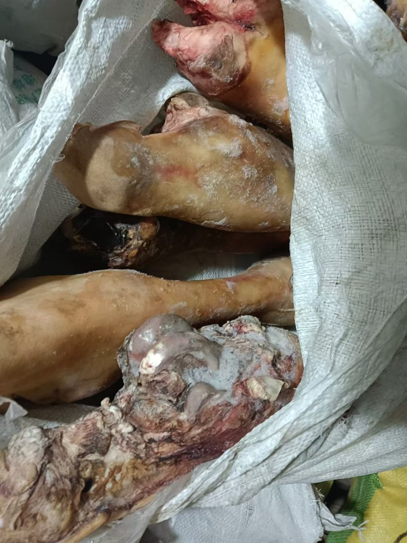牛蹄，牛脚，纯火烧毛牛蹄