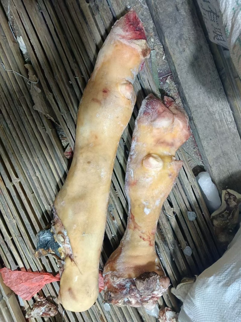 牛蹄，牛脚，纯火烧毛牛蹄