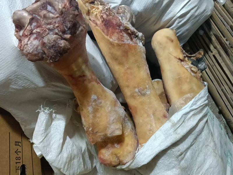 牛蹄，牛脚，纯火烧毛牛蹄
