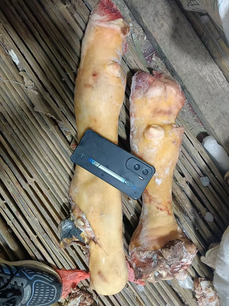 牛蹄，牛脚，纯火烧毛牛蹄