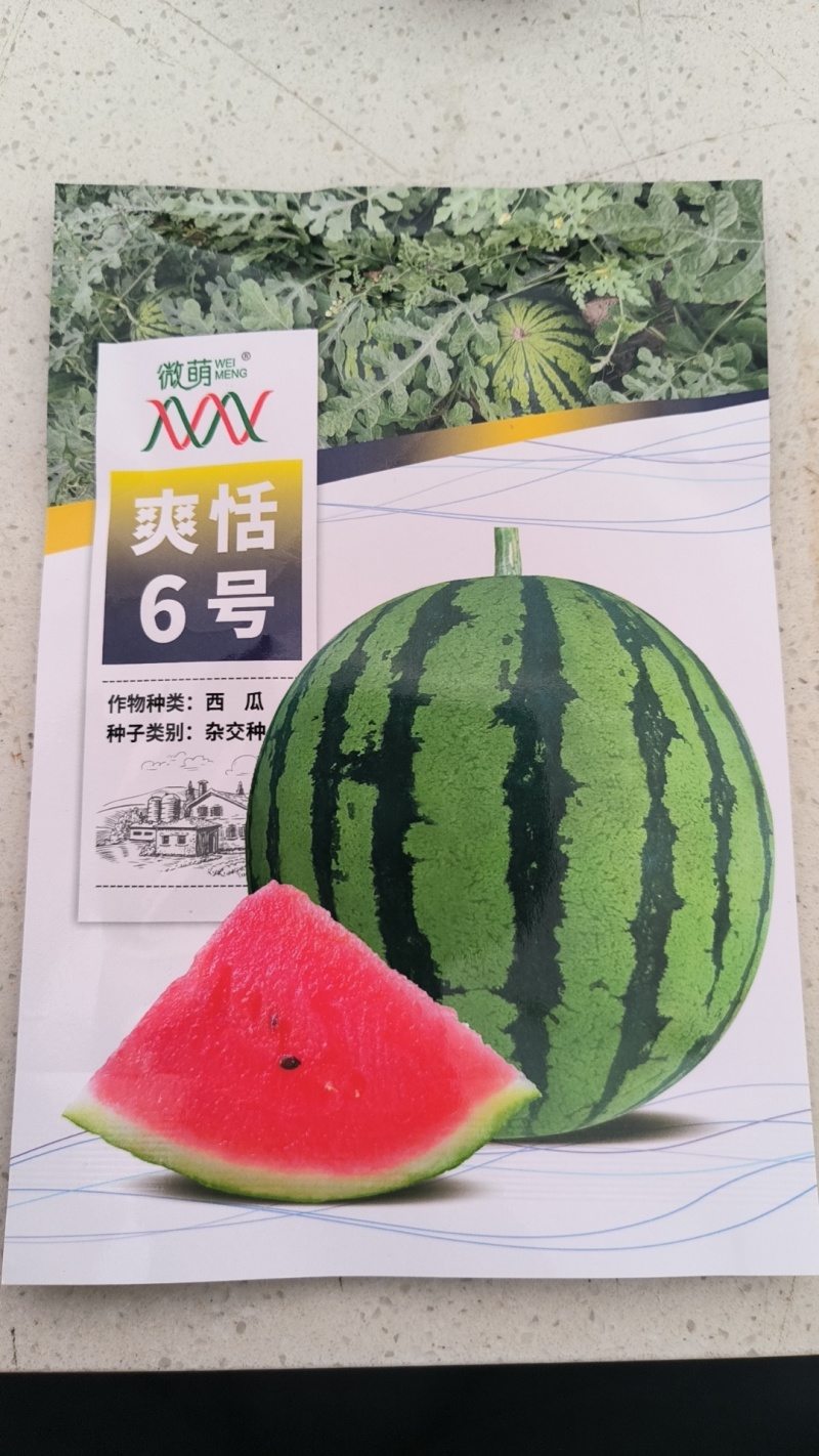 微盟爽恬6号