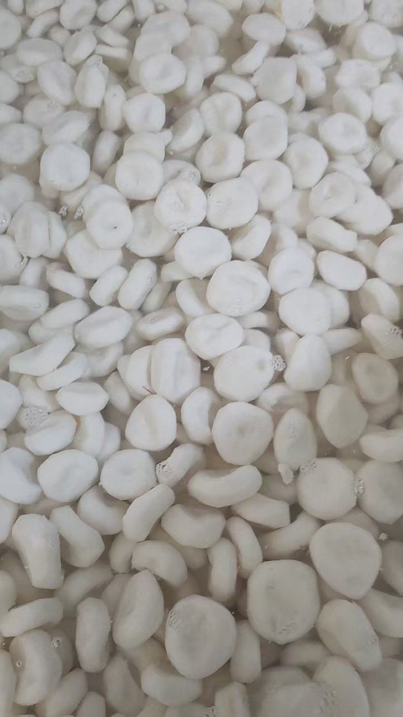去皮荸荠【珍珠马蹄】精挑细选支持视频看货共同发展。
