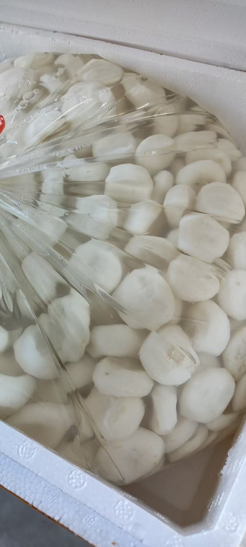 去皮荸荠【珍珠马蹄】精挑细选支持视频看货共同发展。