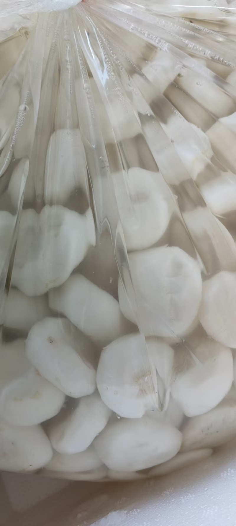 去皮荸荠【珍珠马蹄】精挑细选支持视频看货共同发展。