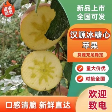汉源红富士苹果，汉源冰糖心苹果规格齐全/对接批发市场