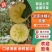 汉源红富士苹果，汉源冰糖心苹果规格齐全/对接批发市场