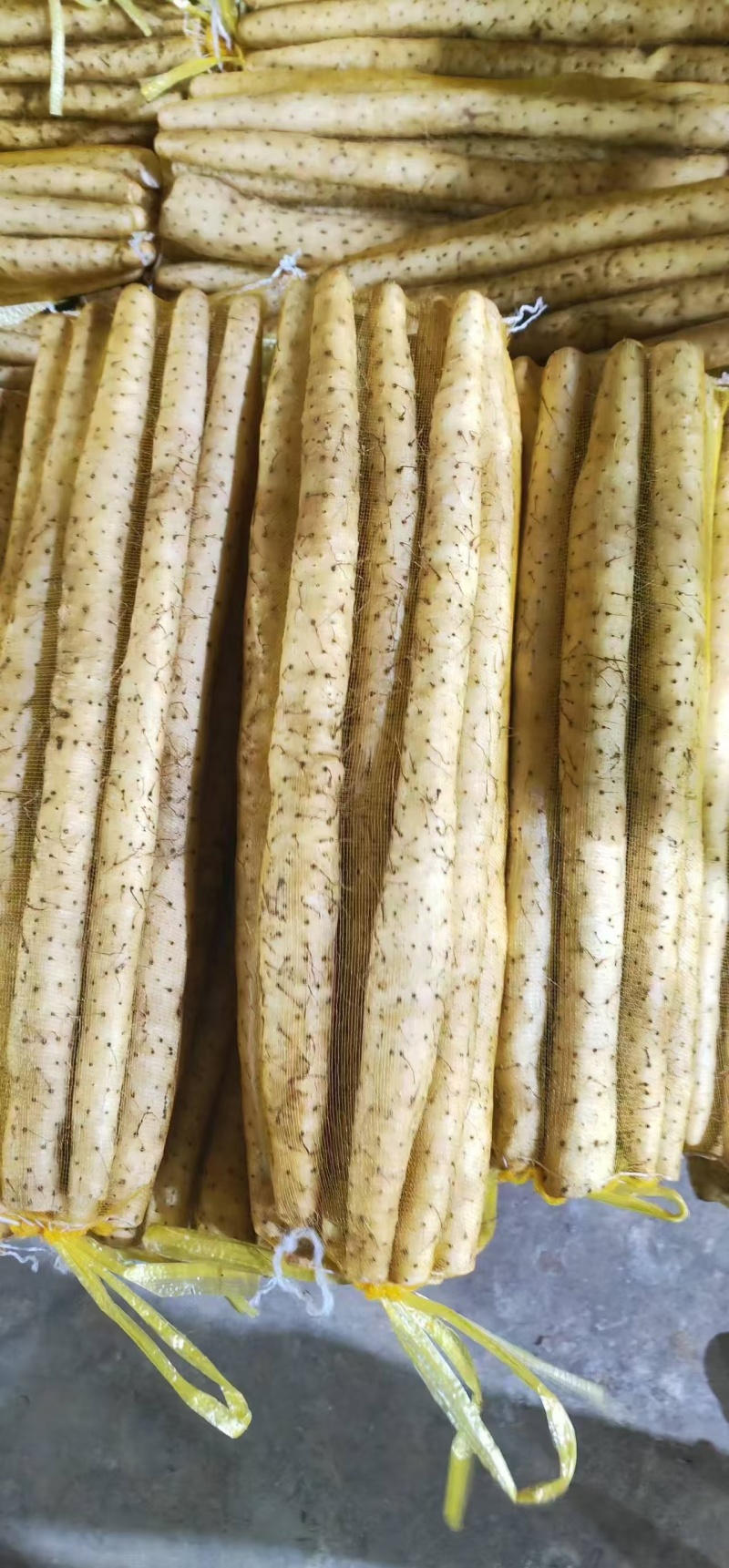 【实力供应】小白嘴山药，軟糯香甜，货源充足