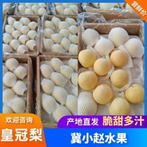 梨皇冠梨产地直销口感脆甜皮薄肉厚口感脆甜超市直采