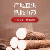 河北铁棍山药特级货一级货二级货，价格美丽，货源充足！