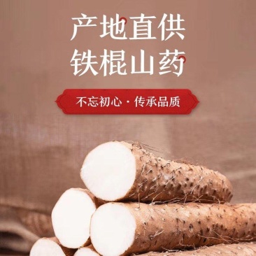 河北铁棍山药特级货一级货二级货，价格美丽，货源充足！