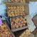 汉源糖心苹果产地直供，口感脆甜，欢迎各地新老采购