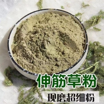 伸筋草粉现磨伸筋草粉