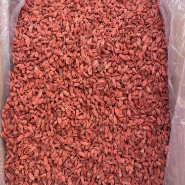 青海诺木洪精品200粒电商枸杞