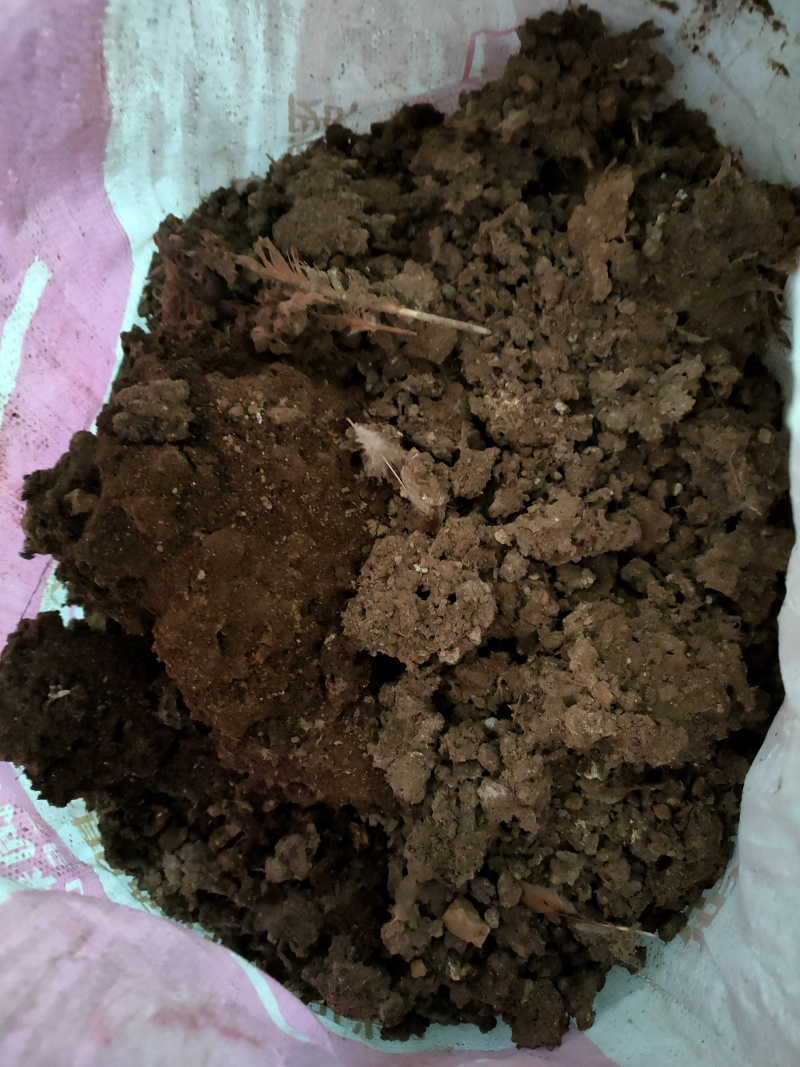 湖北蕲春，干鸡粪，肥料，袋装70-80斤一包