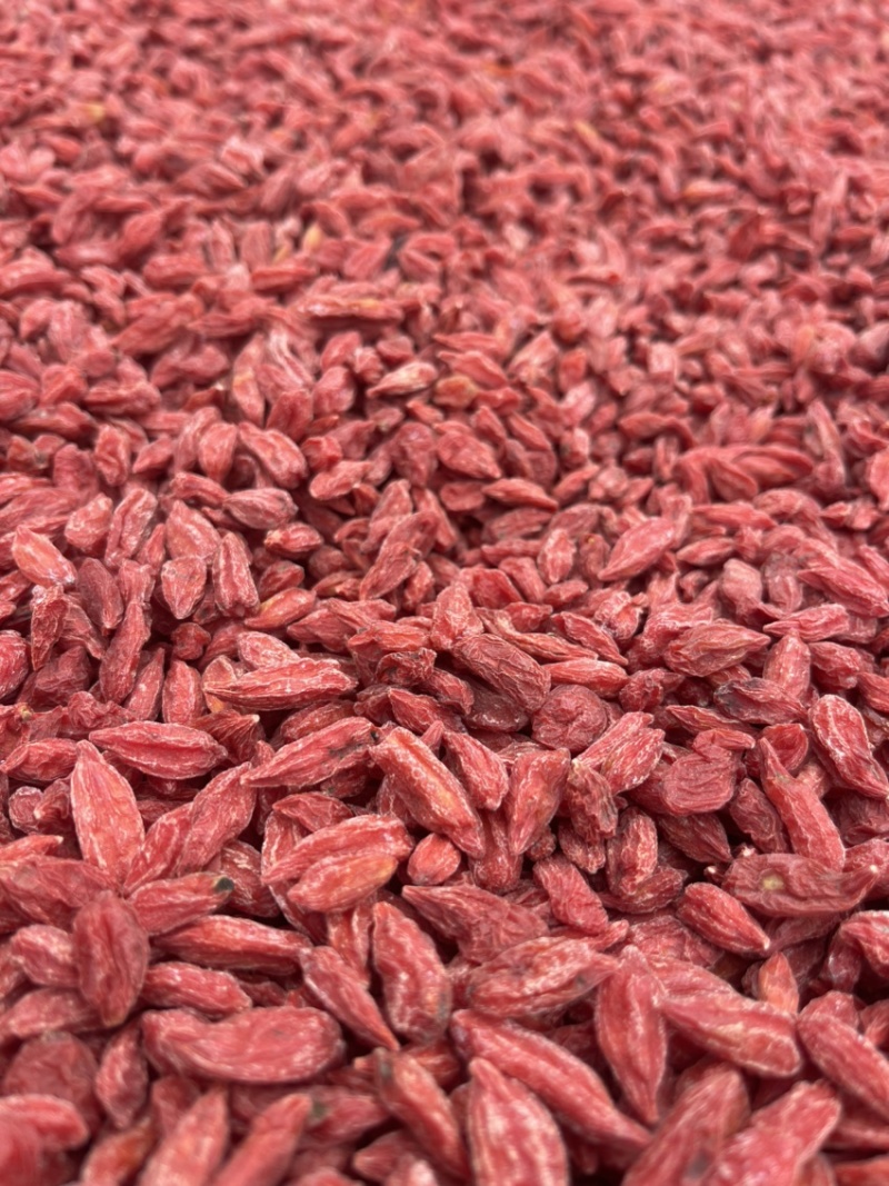 青海诺木洪精品200粒电商枸杞