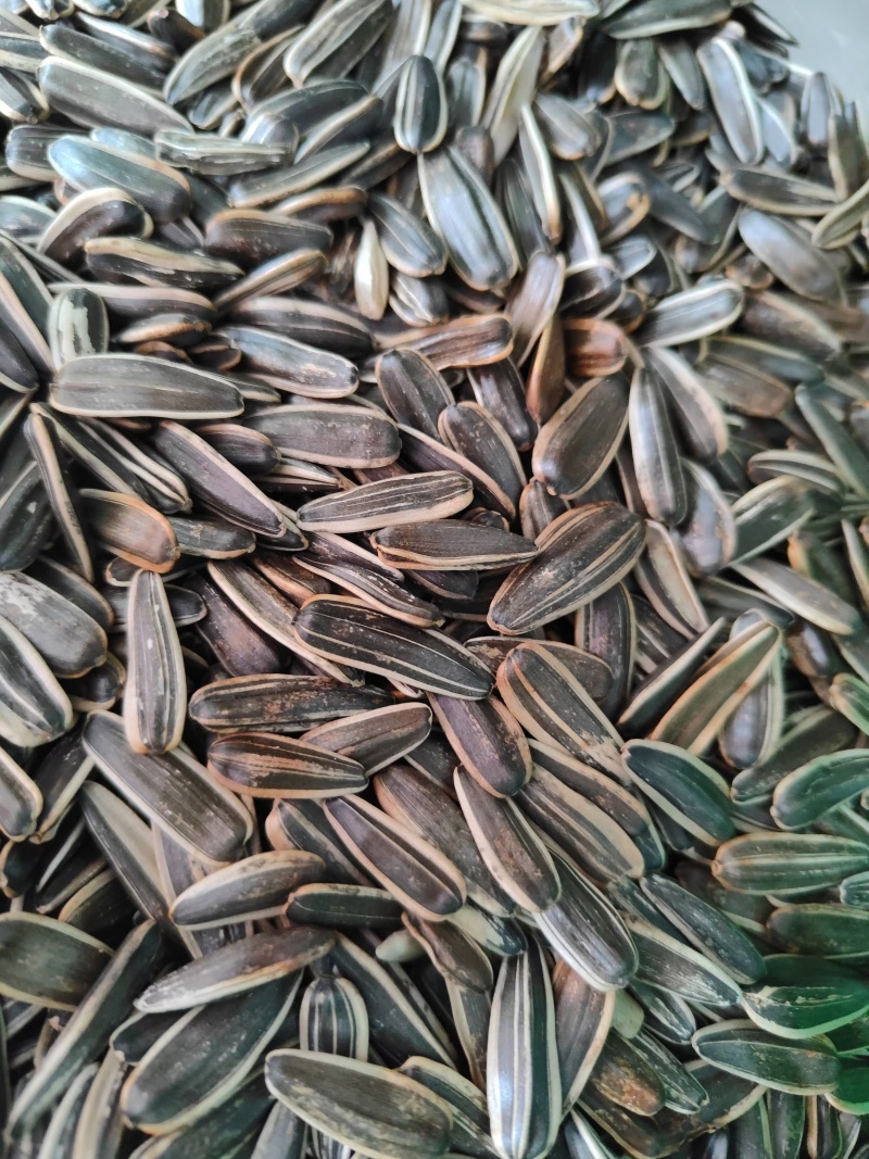 各种口味葵花籽，质优价廉，量大从优