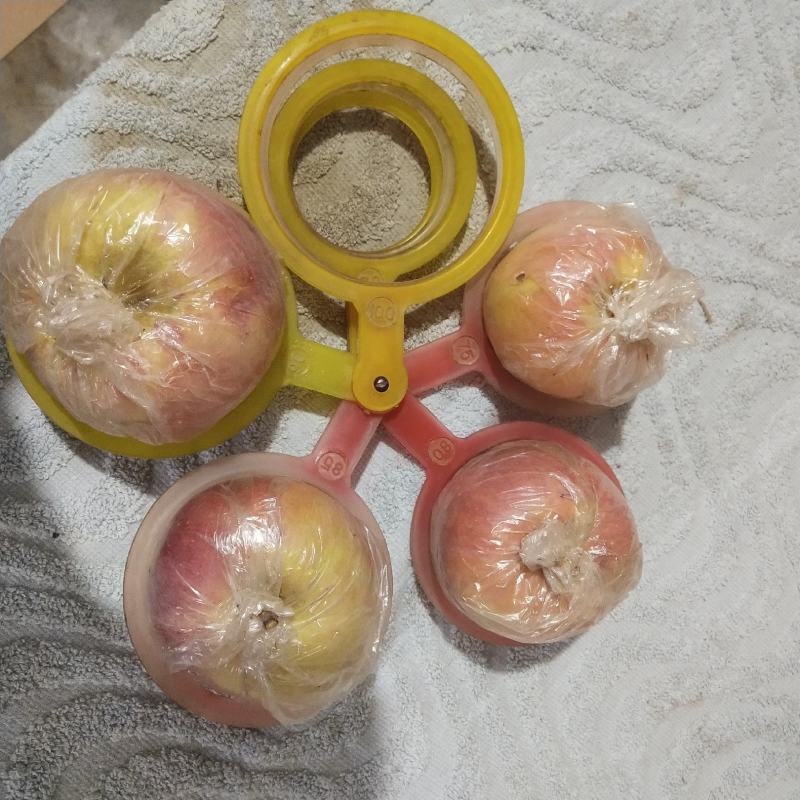 脆甜红富士苹果~产地直供