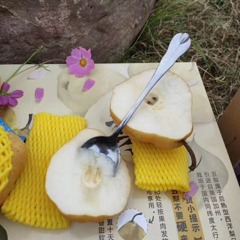 【冷库保鲜】丑梨质量保证水分充足规格齐全好吃不贵
