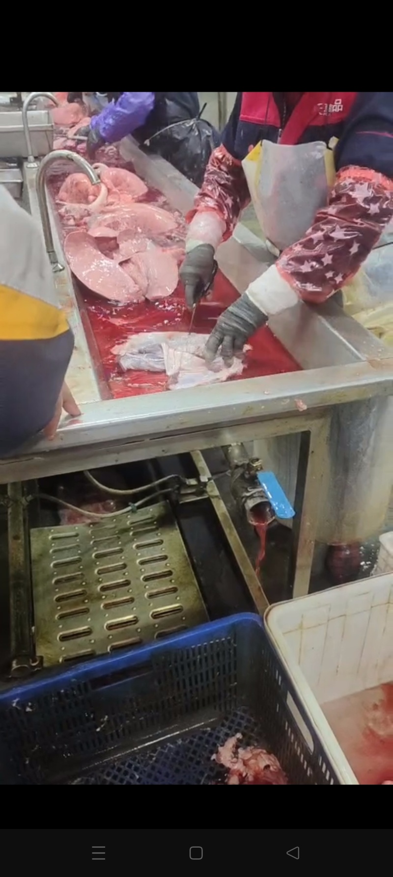纯干护心肉