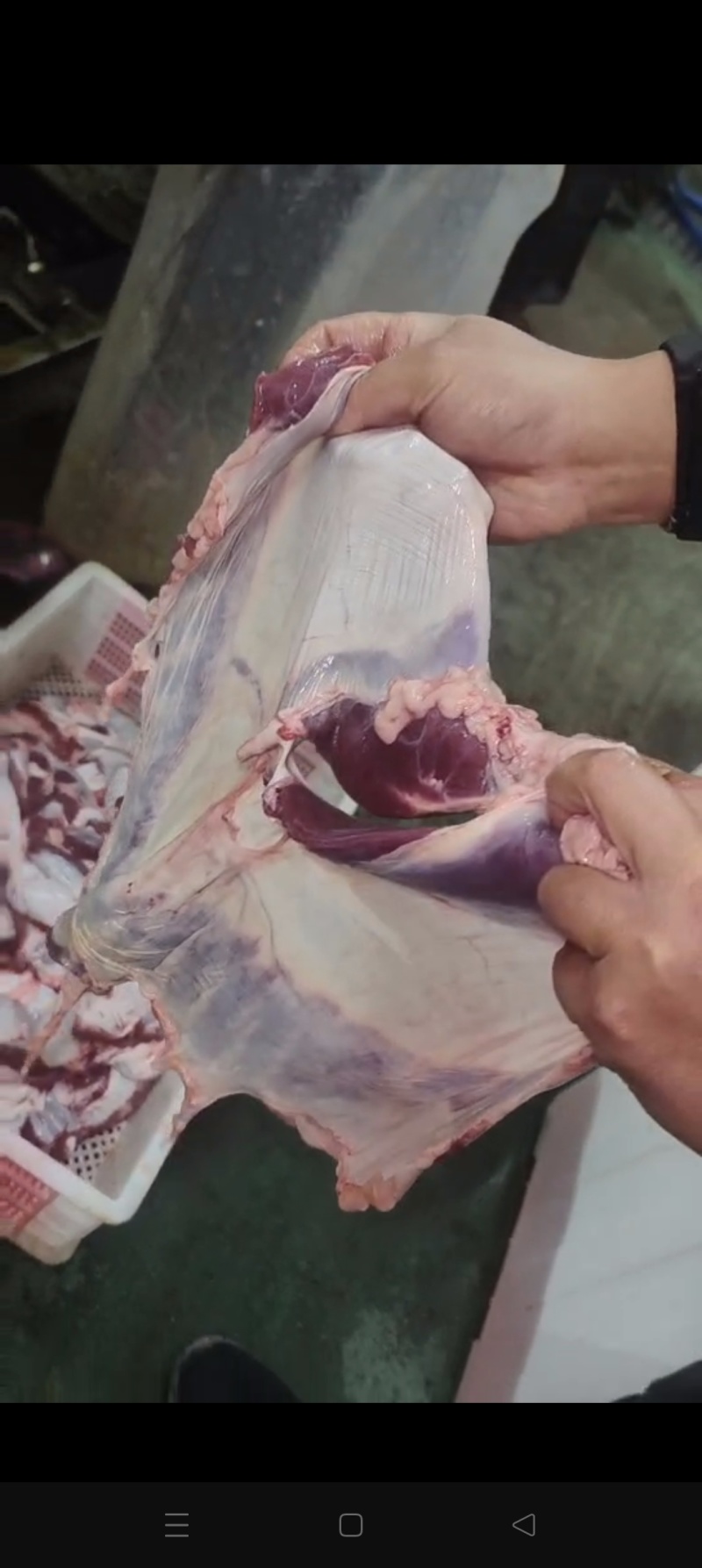 纯干护心肉