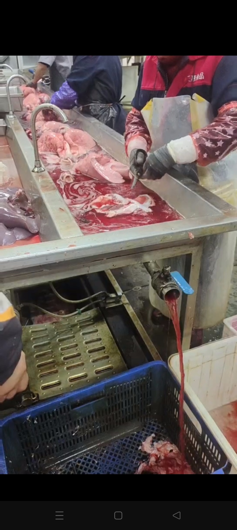 纯干护心肉