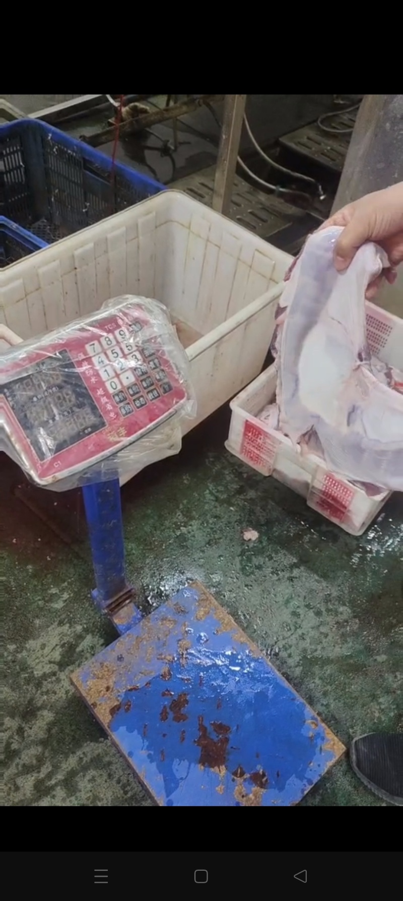 纯干护心肉