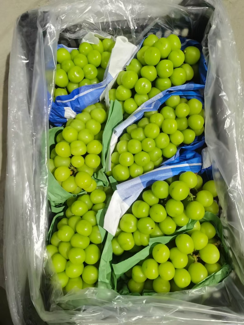 只做精品货