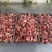 甘肃山羊肉山羊羔子肉跑山羊肉质鲜美量大从优