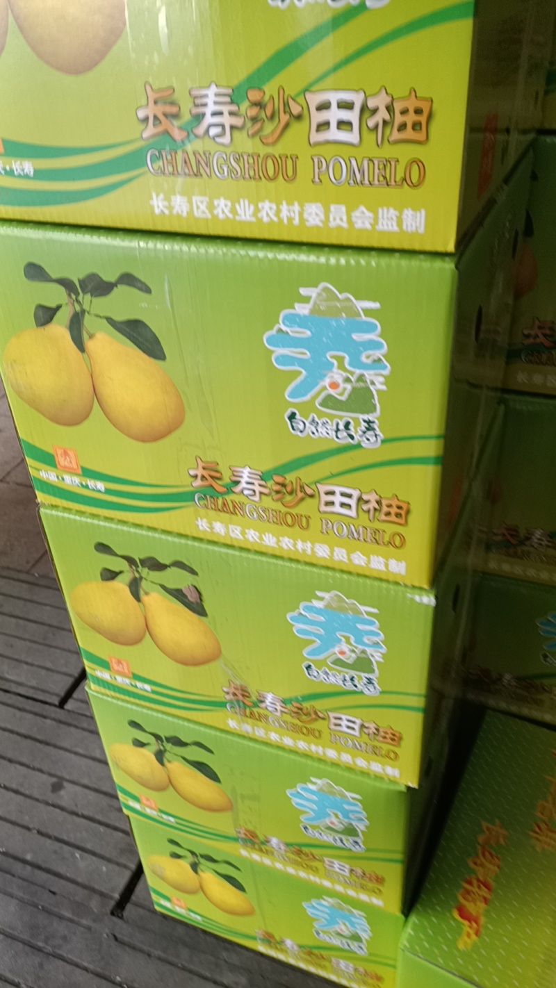 长寿沙田柚品质保障致电有优惠诚信之上直发全国