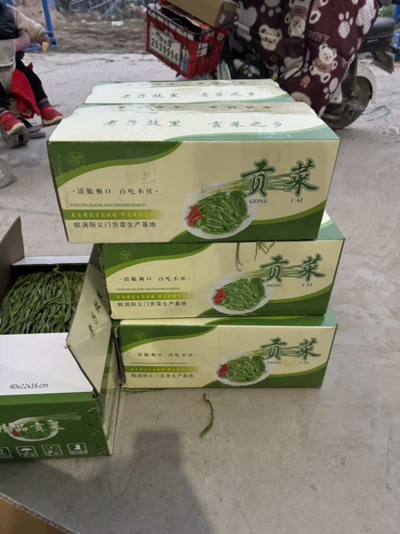 贡菜干，一手货源，品质好，价格优，