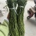 贡菜干，一手货源，品质好，价格优，