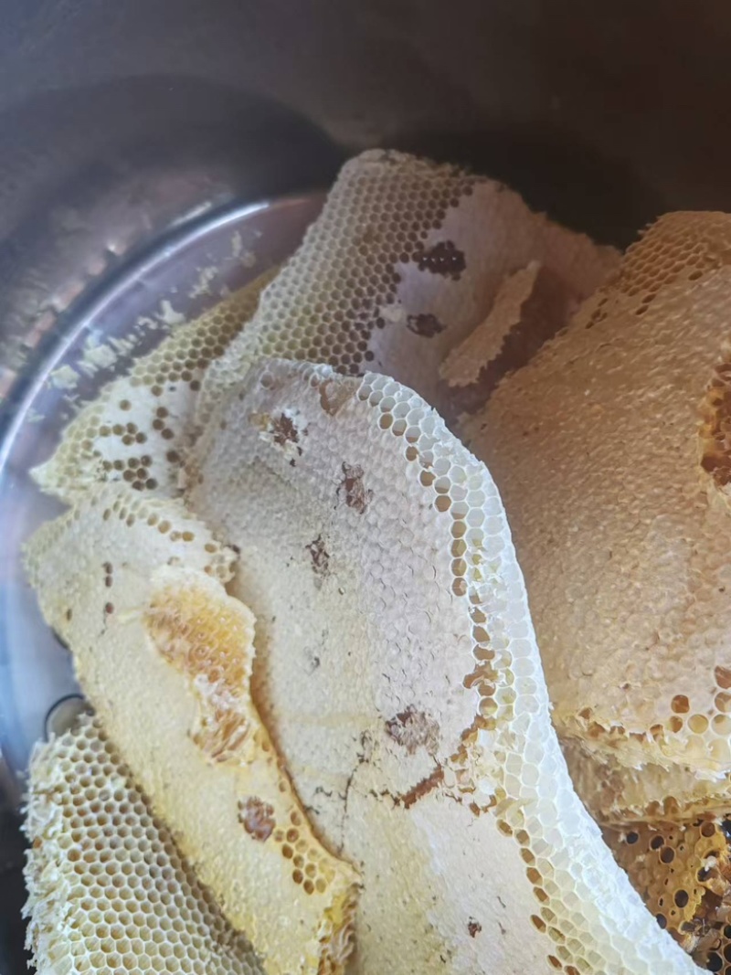 四川土蜂蜜，保质保量，货源充足，欢迎大家视频选购