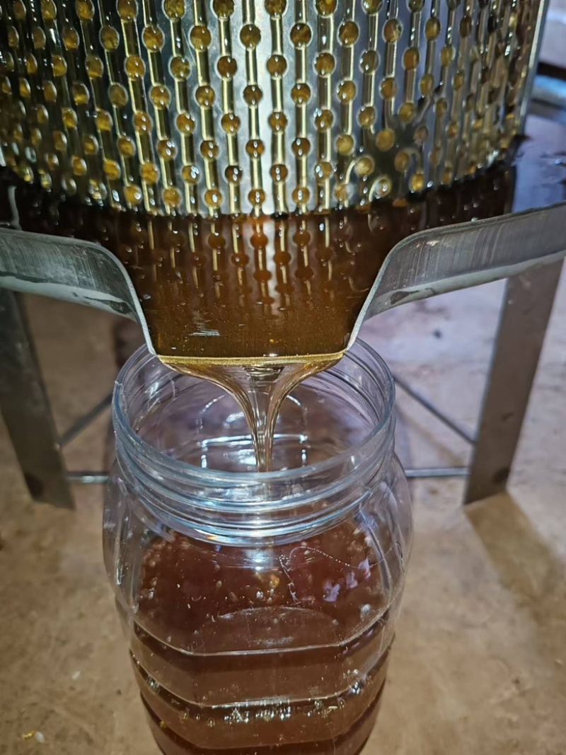 四川土蜂蜜，保质保量，货源充足，欢迎大家视频选购