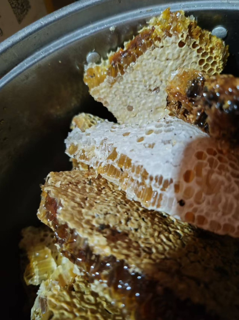 四川土蜂蜜，保质保量，货源充足，欢迎大家视频选购