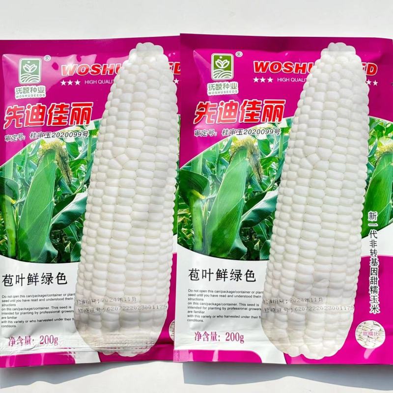 沃蔬先迪佳丽白甜糯玉米种子抗病产量高棒大苞叶鲜绿基地大户