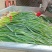 大量出售精品蒜苗
