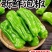 泡椒/广东辣椒/301辣椒/芜湖椒/全国供应批发