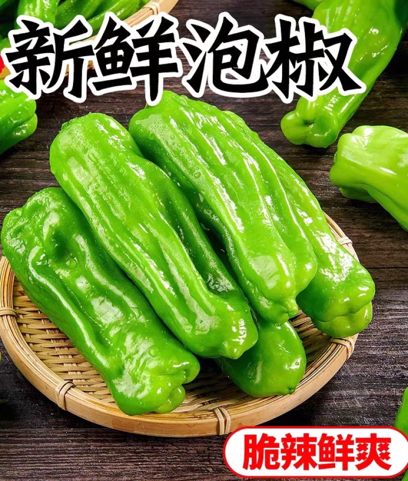 泡椒/广东辣椒/301辣椒/芜湖椒/全国供应批发
