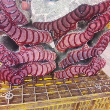 广西源头商家正品鸡血藤新鲜泡水煲汤泡酒干货百年老藤