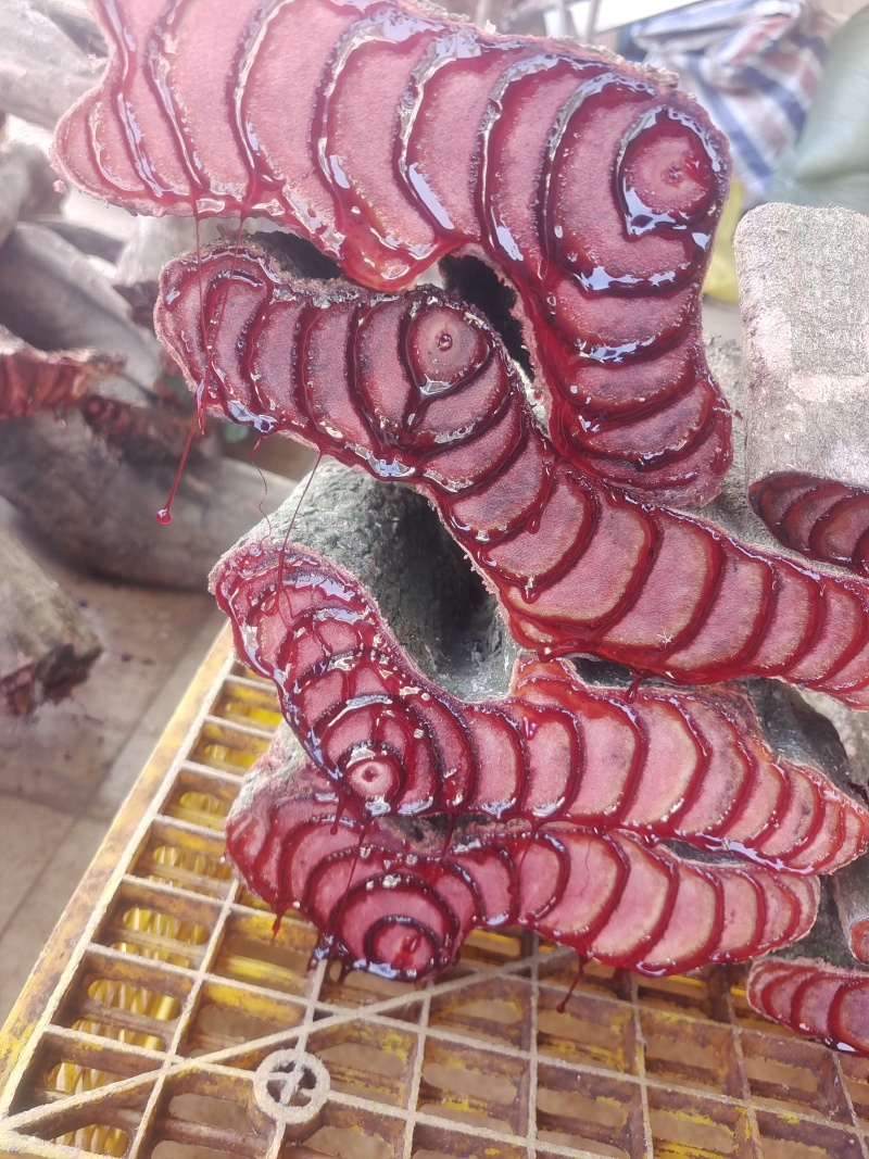 广西源头商家正品鸡血藤新鲜泡水煲汤泡酒干货百年老藤