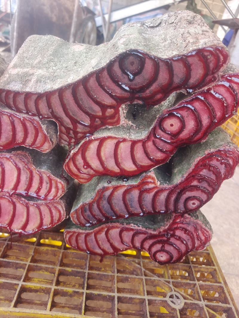 广西源头商家正品鸡血藤新鲜泡水煲汤泡酒干货百年老藤