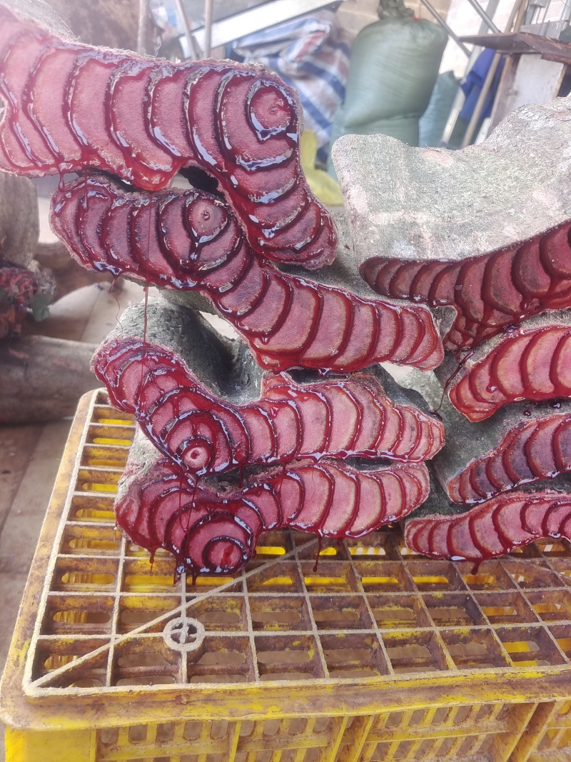 广西源头商家正品鸡血藤新鲜泡水煲汤泡酒干货百年老藤