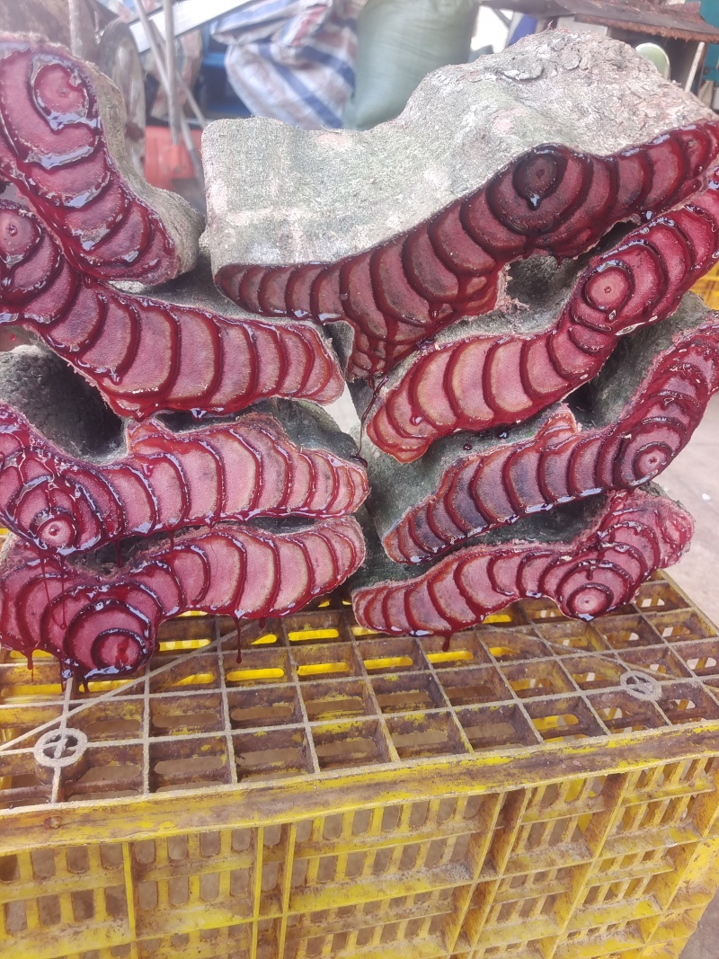 广西源头商家正品鸡血藤新鲜泡水煲汤泡酒干货百年老藤