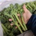 西兰苔基地直供，高端食材！！！！！！