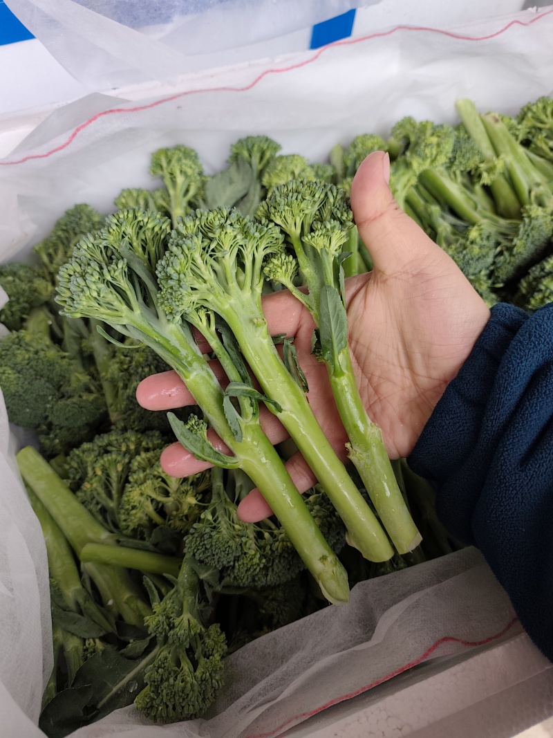 西兰苔基地直供，高端食材！！！！！！