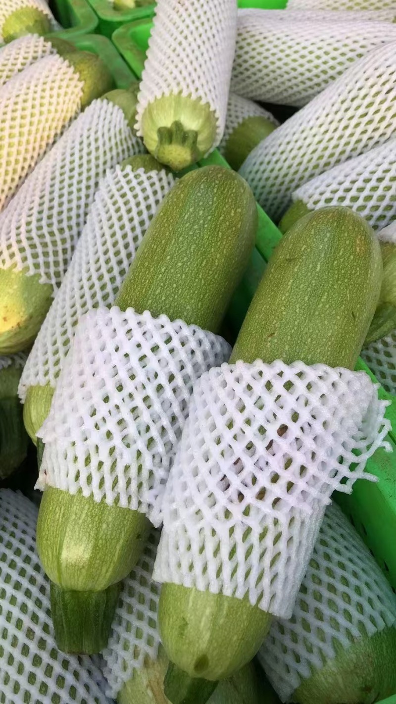 西葫芦
